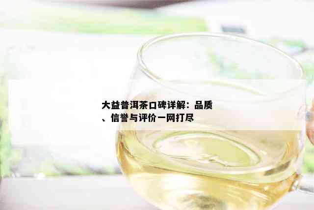 大益普洱茶口碑详解：品质、信誉与评价一网打尽