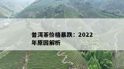 普洱茶价格暴跌：2022年原因解析