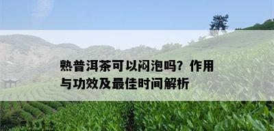 熟普洱茶可以闷泡吗？作用与功效及更佳时间解析