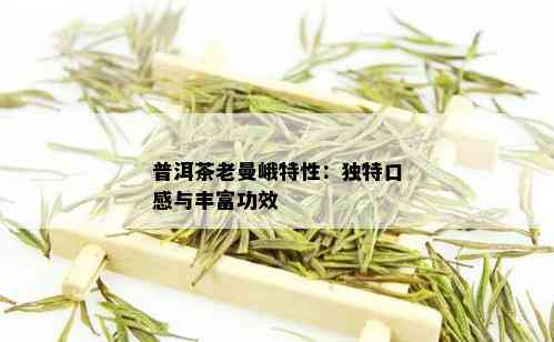 普洱茶老曼峨特性：独特口感与丰富功效