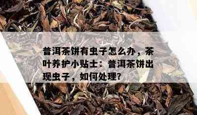 普洱茶饼有虫子怎么办，茶叶养护小贴士：普洱茶饼出现虫子，如何处理？