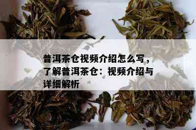 普洱茶仓视频介绍怎么写，了解普洱茶仓：视频介绍与详细解析