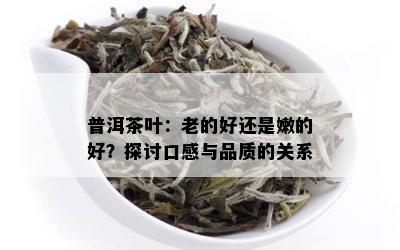 普洱茶叶：老的好还是嫩的好？探讨口感与品质的关系