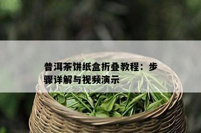 普洱茶饼纸盒折叠教程：步骤详解与视频演示