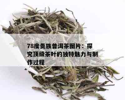 78度贵族普洱茶图片：探究顶级茶叶的独特魅力与制作过程