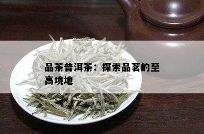 品茶普洱茶：探索品茗的至高境地