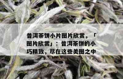 普洱茶饼小片图片欣赏，「图片欣赏」：普洱茶饼的小巧精致，尽在这些美图之中