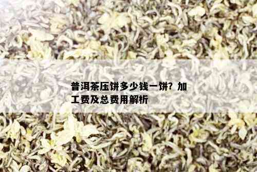 普洱茶压饼多少钱一饼？加工费及总费用解析