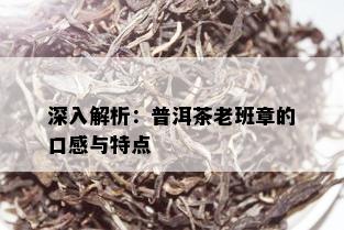 深入解析：普洱茶老班章的口感与特点