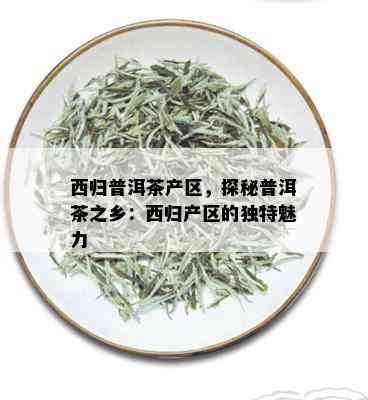 西归普洱茶产区，探秘普洱茶之乡：西归产区的独特魅力