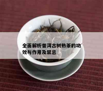 全面解析普洱古树熟茶的功效与作用及禁忌