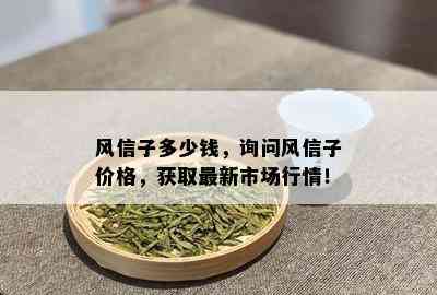 风信子多少钱，询问风信子价格，获取最新市场行情！