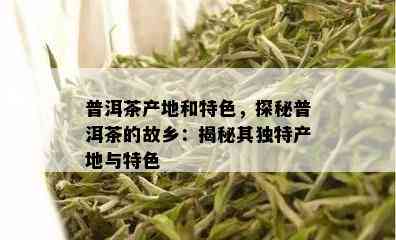 普洱茶产地和特色，探秘普洱茶的故乡：揭秘其独特产地与特色