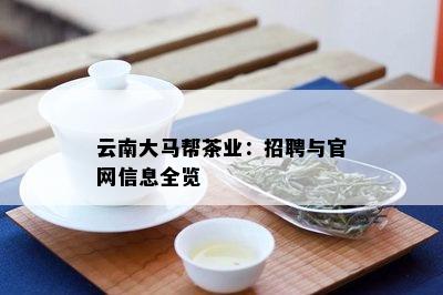 云南大马帮茶业：招聘与官网信息全览