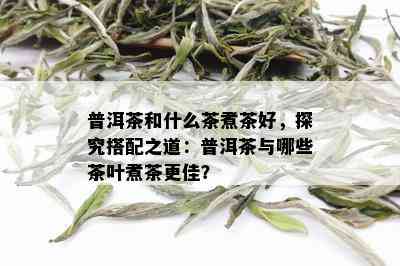 普洱茶和什么茶煮茶好，探究搭配之道：普洱茶与哪些茶叶煮茶更佳？