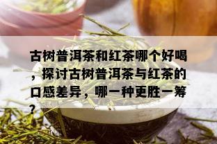 古树普洱茶和红茶哪个好喝，探讨古树普洱茶与红茶的口感差异，哪一种更胜一筹？