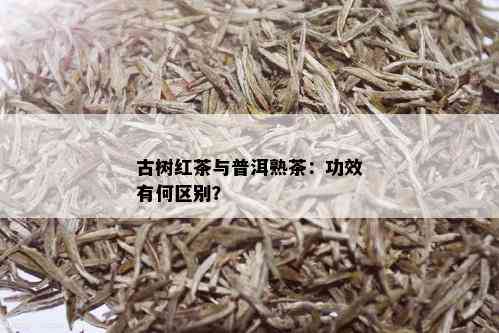 古树红茶与普洱熟茶：功效有何区别？