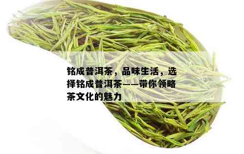 铭成普洱茶，品味生活，选择铭成普洱茶——带你领略茶文化的魅力