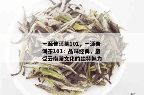 一源普洱茶101，一源普洱茶101：品味经典，感受云南茶文化的独特魅力