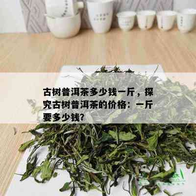 古树普洱茶多少钱一斤，探究古树普洱茶的价格：一斤要多少钱？