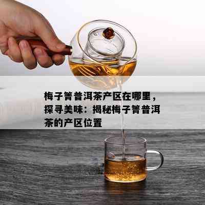 梅子箐普洱茶产区在哪里，探寻美味：揭秘梅子箐普洱茶的产区位置