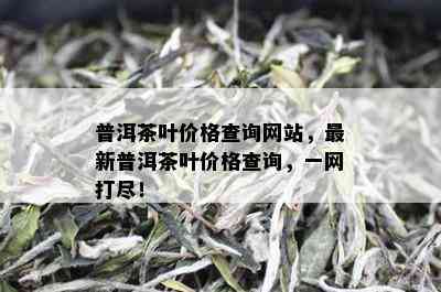 普洱茶叶价格查询网站，最新普洱茶叶价格查询，一网打尽！