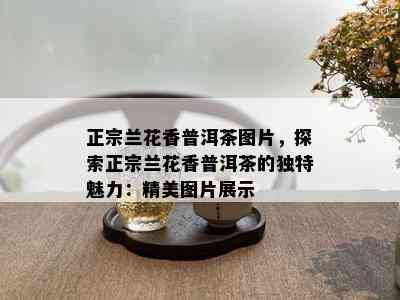 正宗兰花香普洱茶图片，探索正宗兰花香普洱茶的独特魅力：精美图片展示