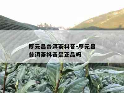 厚元昌普洱茶抖音-厚元昌普洱茶抖音是正品吗