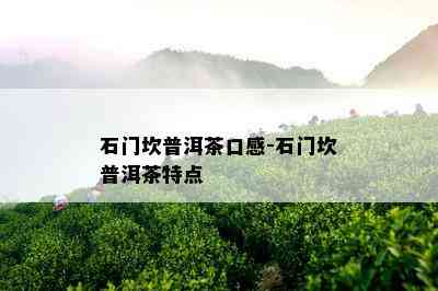 石门坎普洱茶口感-石门坎普洱茶特点