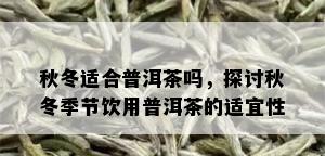 秋冬适合普洱茶吗，探讨秋冬季节饮用普洱茶的适宜性