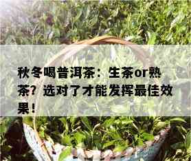 秋冬喝普洱茶：生茶or熟茶？选对了才能发挥更佳效果！