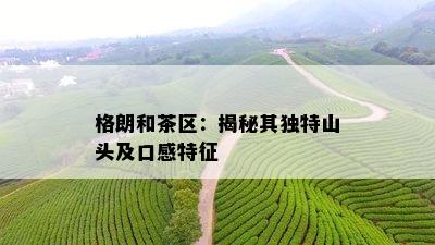 格朗和茶区：揭秘其独特山头及口感特征