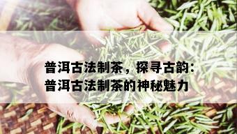 普洱古法制茶，探寻古韵：普洱古法制茶的神秘魅力