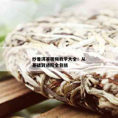 炒普洱茶视频教学大全：从基础到进阶全包括