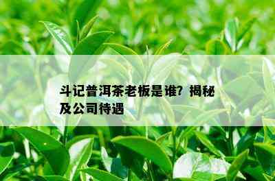 斗记普洱茶老板是谁？揭秘及公司待遇