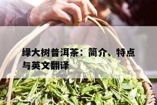 绿大树普洱茶：简介、特点与英文翻译