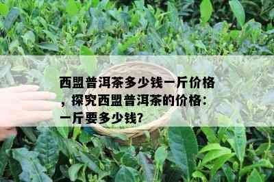 西盟普洱茶多少钱一斤价格，探究西盟普洱茶的价格：一斤要多少钱？