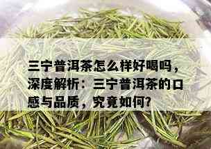 三宁普洱茶怎么样好喝吗，深度解析：三宁普洱茶的口感与品质，究竟如何？