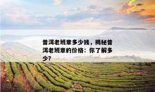 普洱老班章多少钱，揭秘普洱老班章的价格：你了解多少？