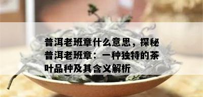 普洱老班章什么意思，探秘普洱老班章：一种独特的茶叶品种及其含义解析