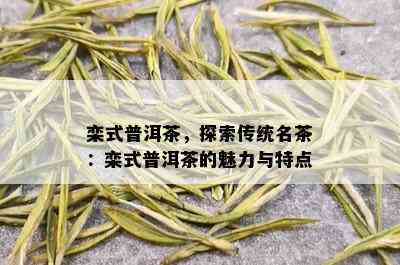 栾式普洱茶，探索传统名茶：栾式普洱茶的魅力与特点