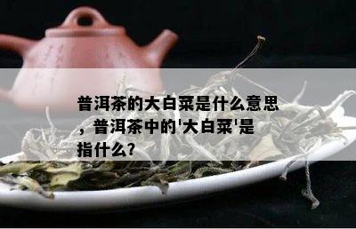 普洱茶的大白菜是什么意思，普洱茶中的'大白菜'是指什么？