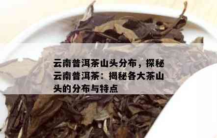 云南普洱茶山头分布，探秘云南普洱茶：揭秘各大茶山头的分布与特点