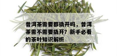 普洱茶需要都撬开吗，普洱茶需不需要撬开？新手必看的茶叶知识解析