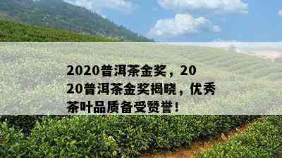 2020普洱茶金奖，2020普洱茶金奖揭晓，优秀茶叶品质备受赞誉！