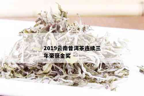 2019云南普洱茶连续三年荣获金奖