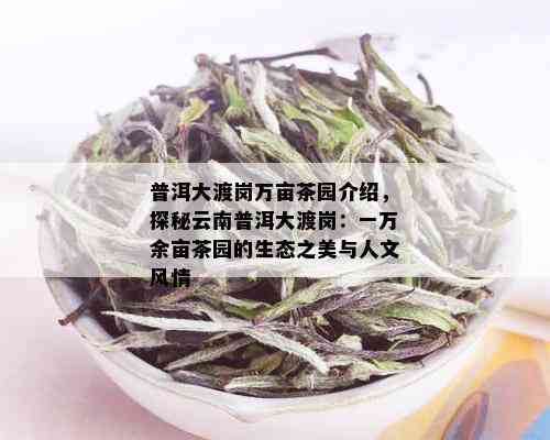 普洱大渡岗万亩茶园介绍，探秘云南普洱大渡岗：一万余亩茶园的生态之美与人文风情