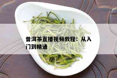 普洱茶直播视频教程：从入门到精通