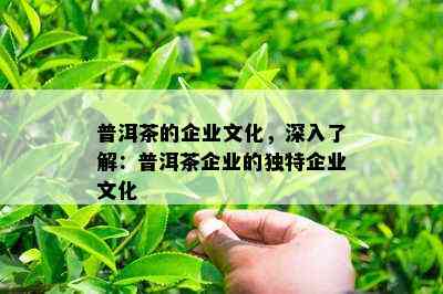 普洱茶的企业文化，深入了解：普洱茶企业的独特企业文化