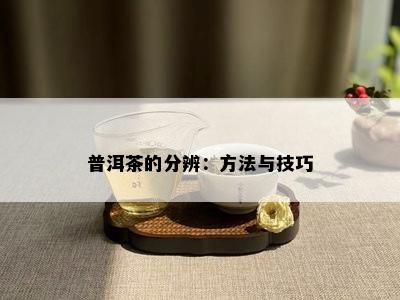 普洱茶的分辨：方法与技巧